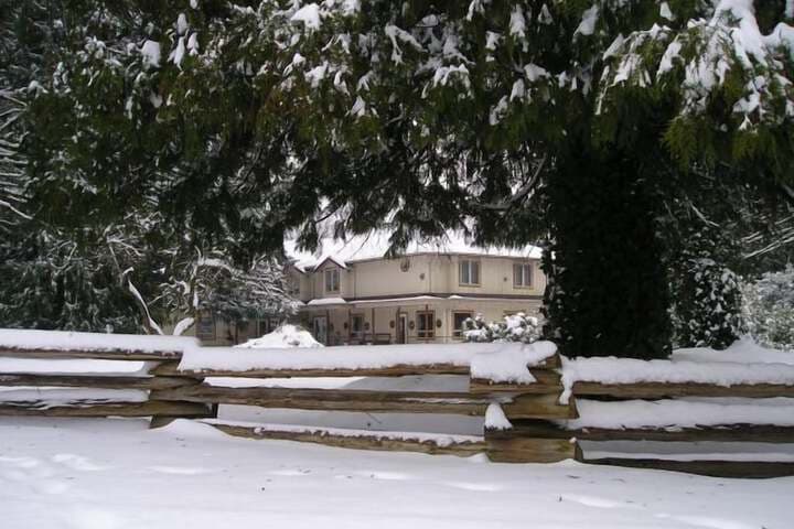 Cedar Wood Lodge B&B photo 3