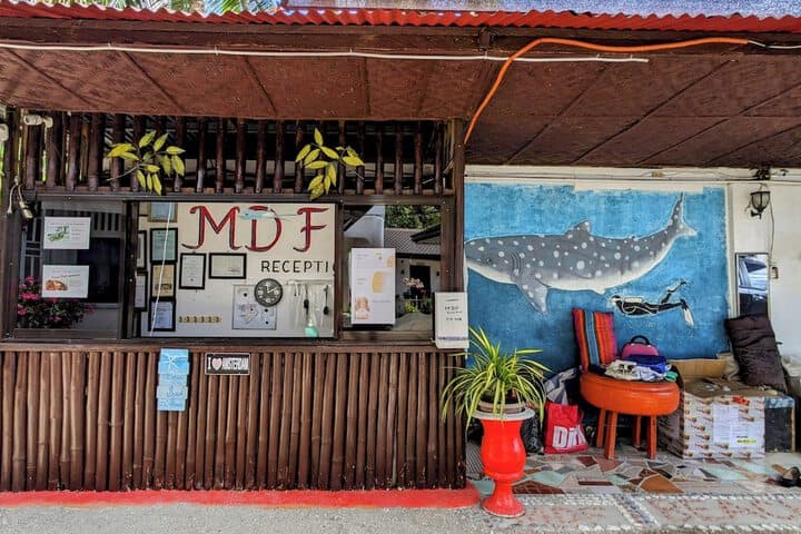 MDF Beach Resort&Day Tours photo 5
