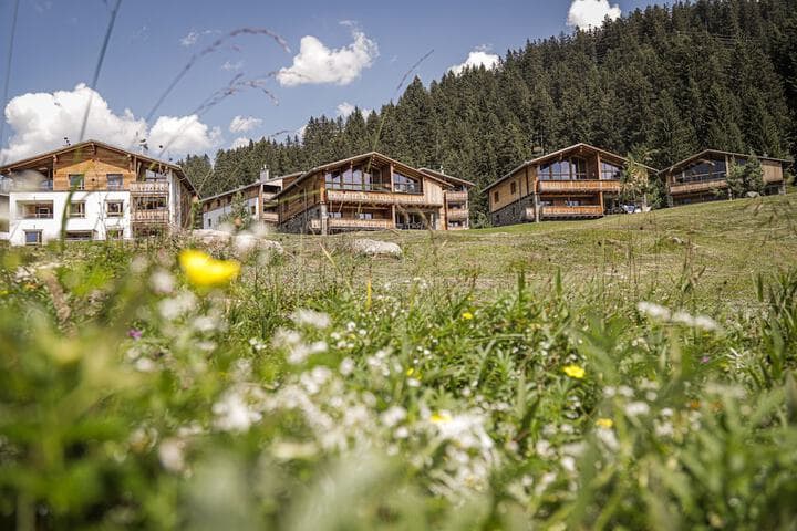 Priva Alpine Lodge Lenzerheide photo 3