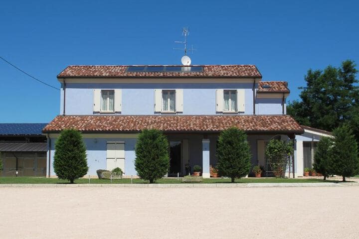 Insolent Inn photo 5
