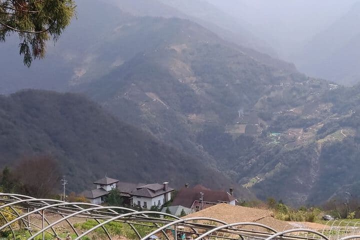 I-Think Resort photo 2