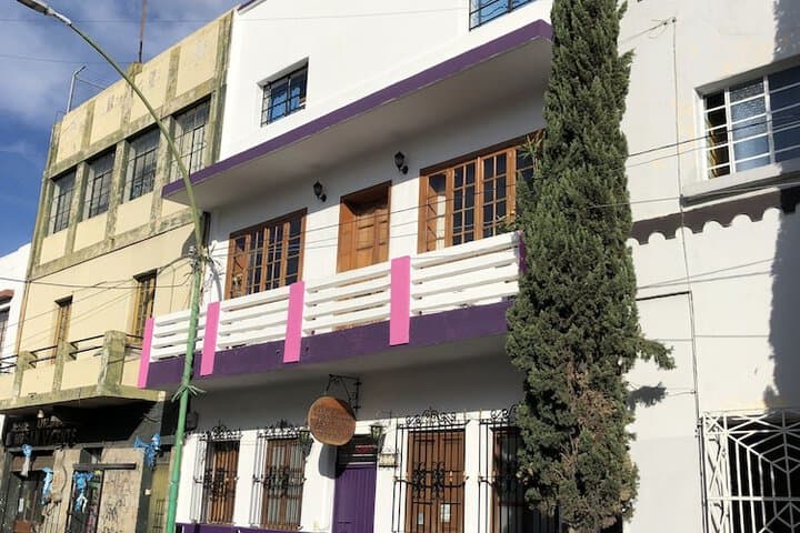 Olga Querida Hostal Hostel photo 5
