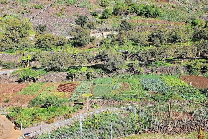 Fajã dos Padres photo 3