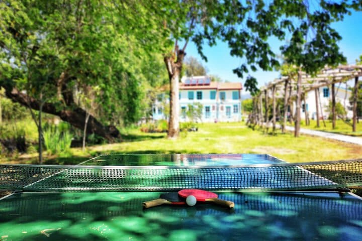 Yonca Lodge photo 3