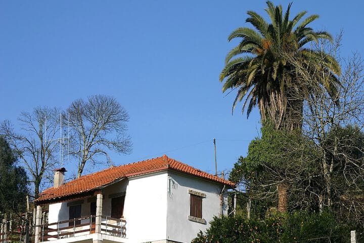 Quinta da Prova photo 3