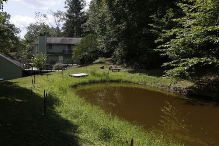Lil Black Bear Inn photo 4