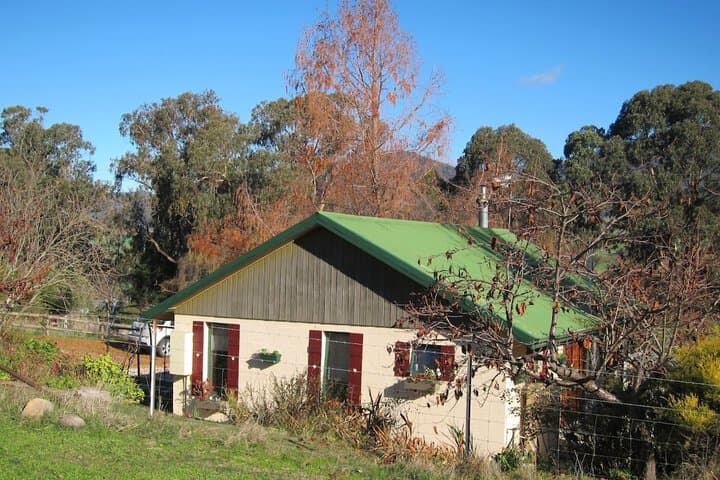 Edelweiss Cottage B&B photo 2