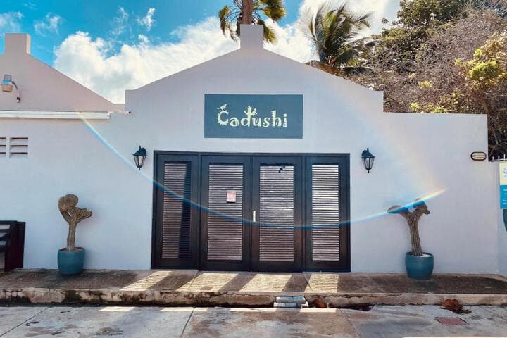 Cadushi Apartments photo 2