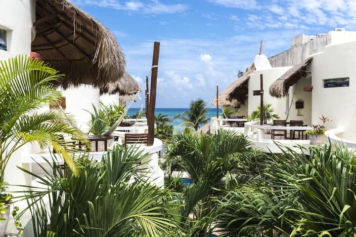 Playa Palms Beach Hotel photo 2
