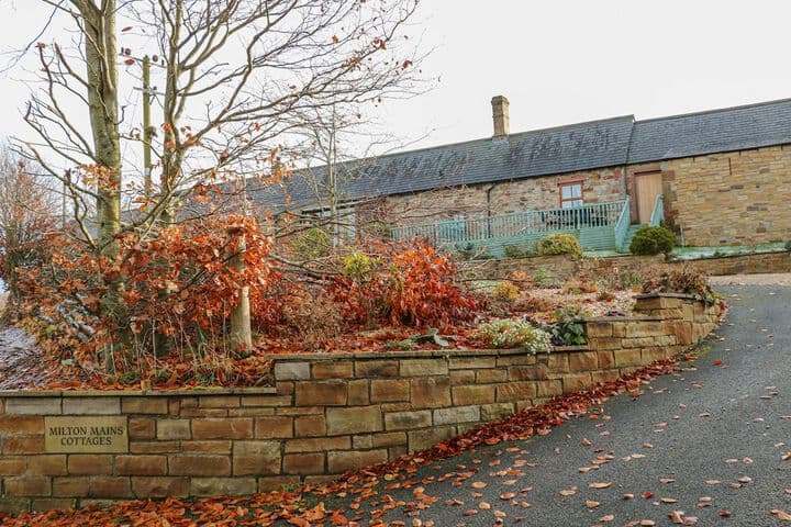 Swift Cottage photo 4