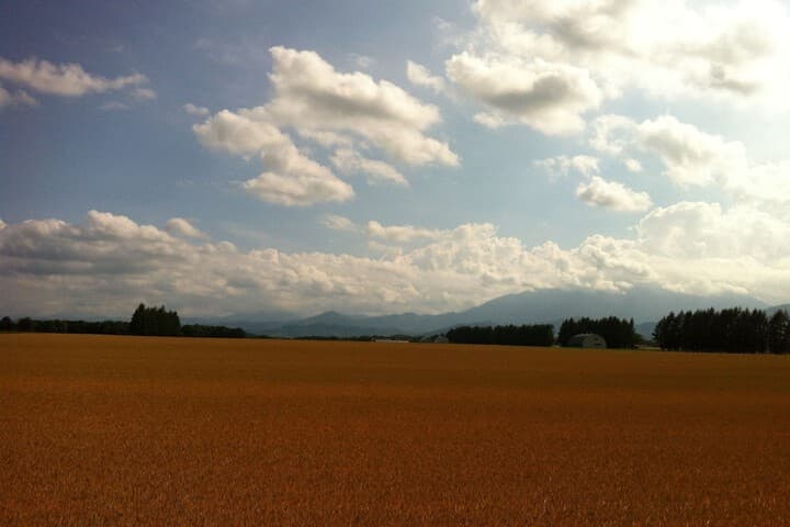 Obihiro Yachiyo Youth Hostel photo 3