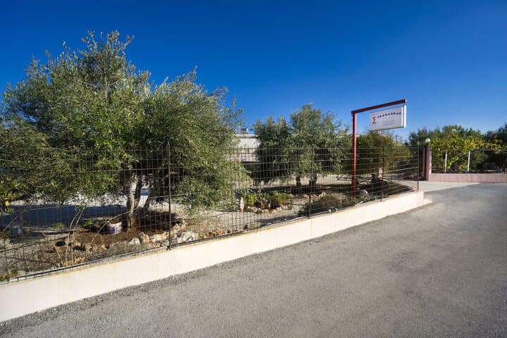 Skamagkas M. Apartments photo 4