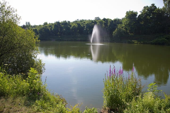 Résidence Les Rives de la Fecht photo 3