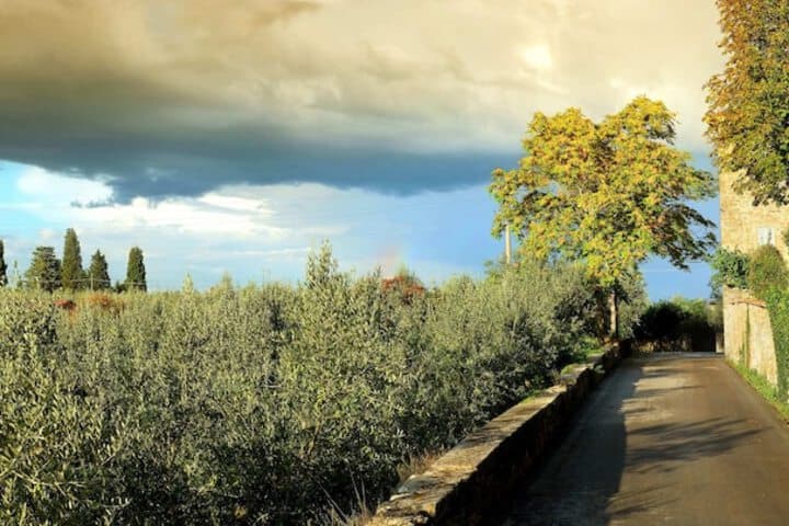 Fondaco del Moro photo 4