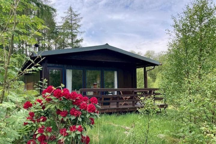Woodland Retreat photo 5