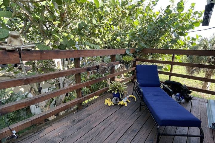 Treehouse Apartment Rentals photo 5