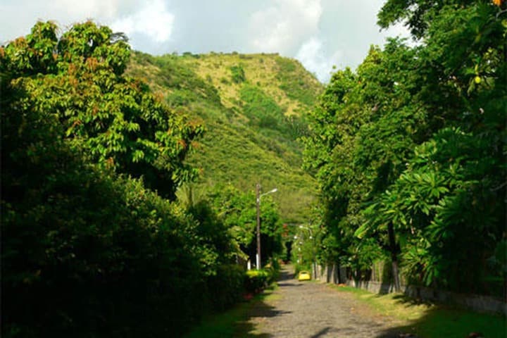 Pension Te Miti Hostel photo 5