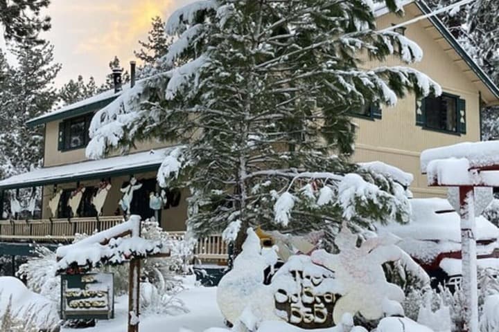 The Old Bear BnB photo 5