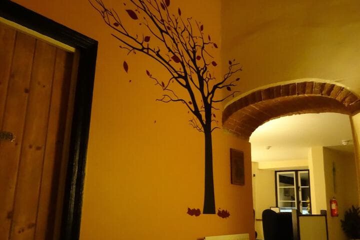 Old Manor House B&B photo 2