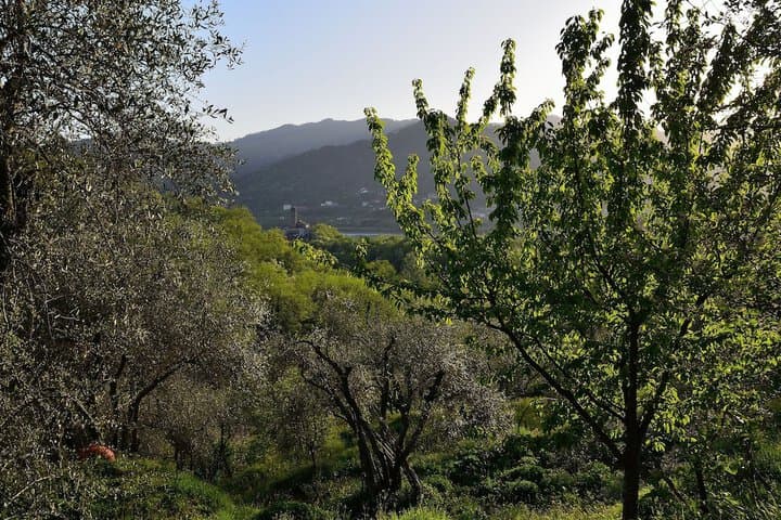 Luce Stellata photo 4