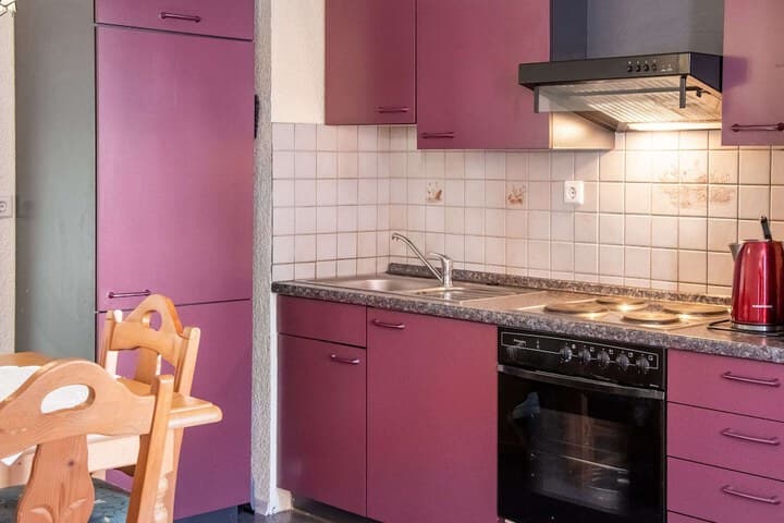 Charming Apartment in the Black Forest photo 1