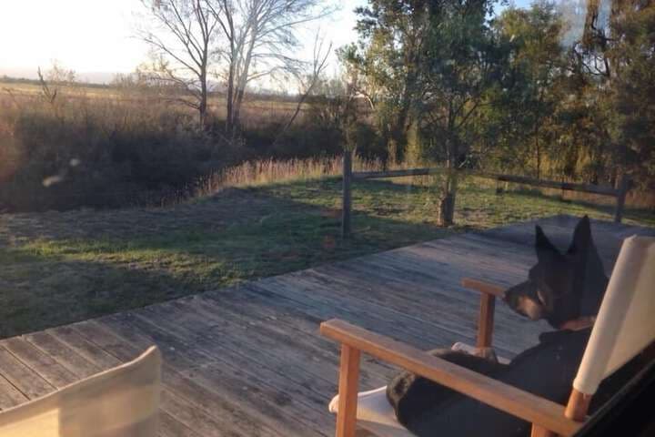 Abington Farm photo 2