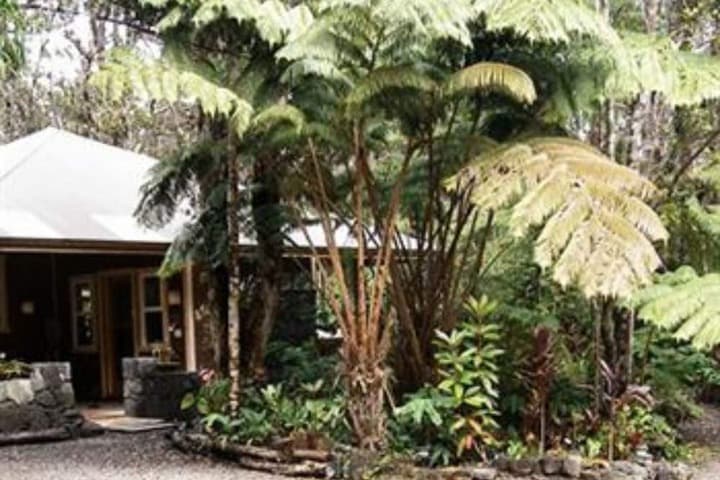 Volcano Mist Cottage photo 2