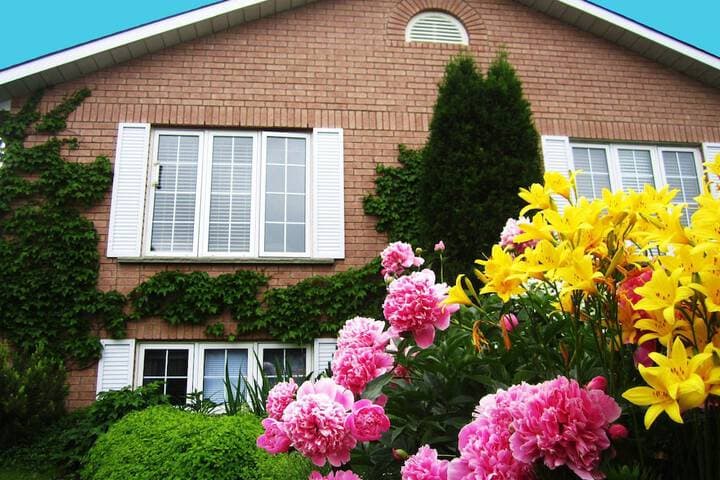 Opus 74 Bed & Breakfast photo 2