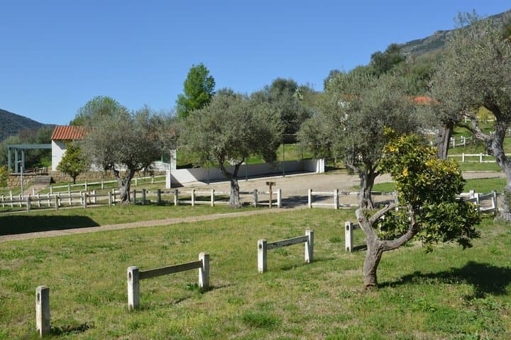 Casas Rurales Aldeaduero photo 5