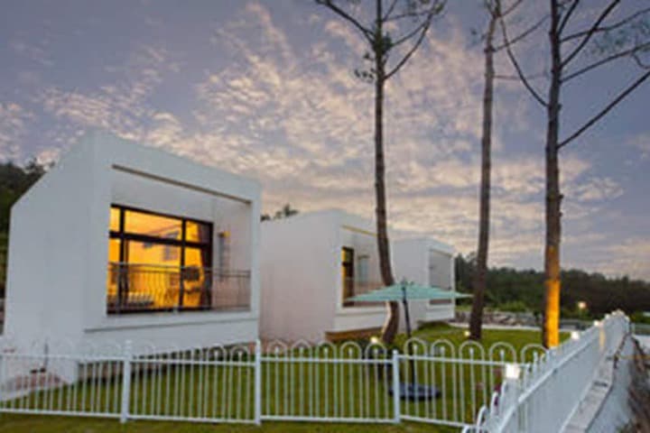 Sea & Pine Pension photo 4