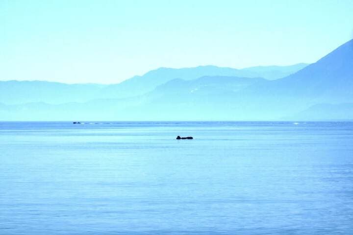 Faedra Beach Hotel photo 3