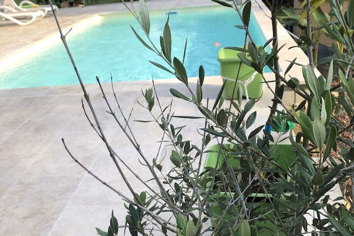 Les Plantous de Severo photo 3