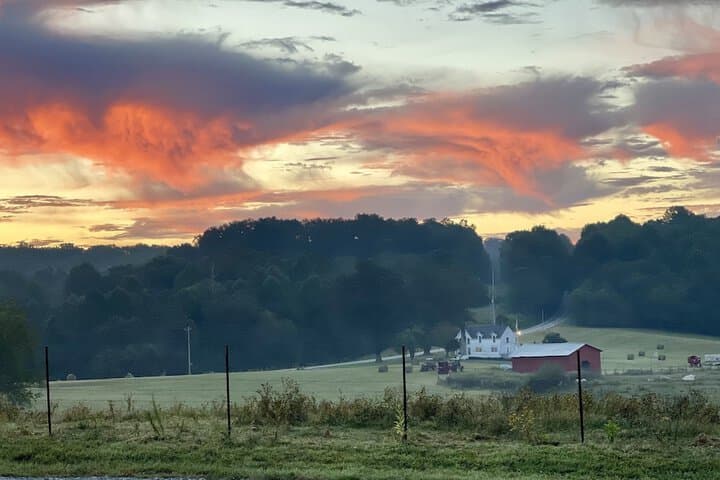 The Dogwood Inn photo 3