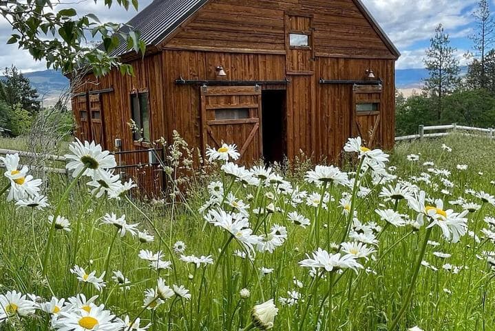Country Willows Inn&Estate photo 5