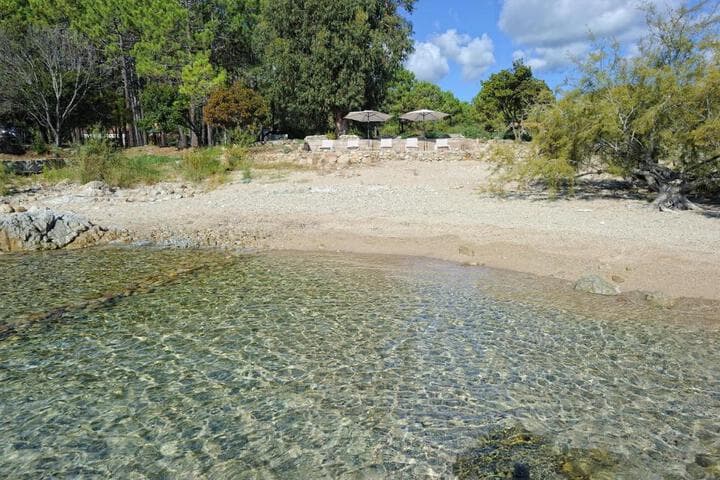 Domaine de Pianiccia photo 2