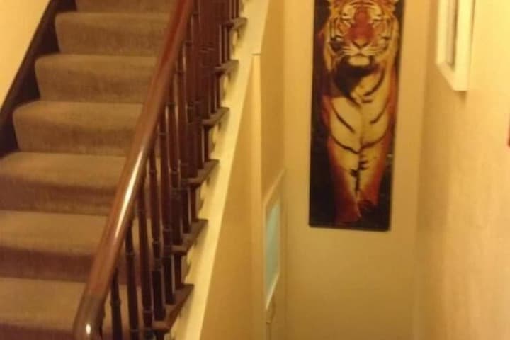 Grisnoir Guest House photo 3