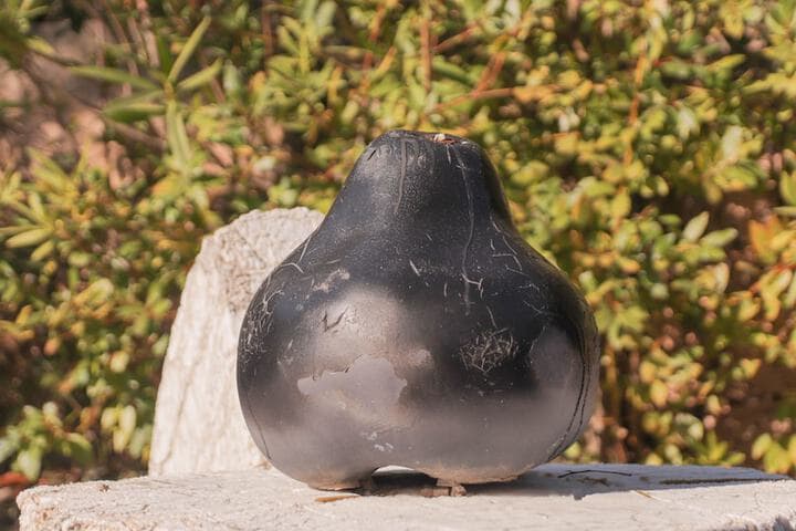 Villa Saint Maxime photo 2