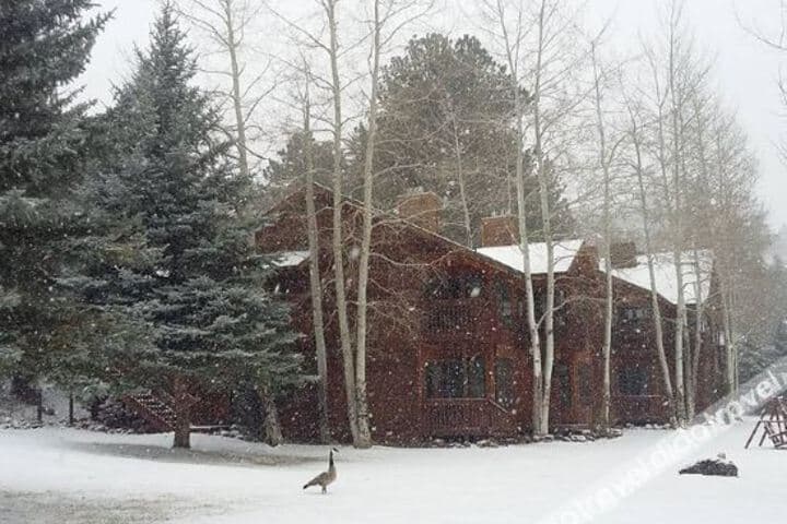 Kokopelli Inn photo 4