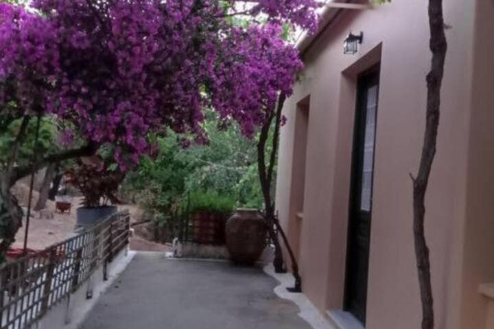 Villa Lidi photo 3