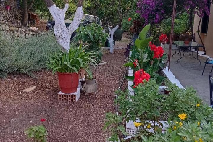 Villa Lidi photo 5