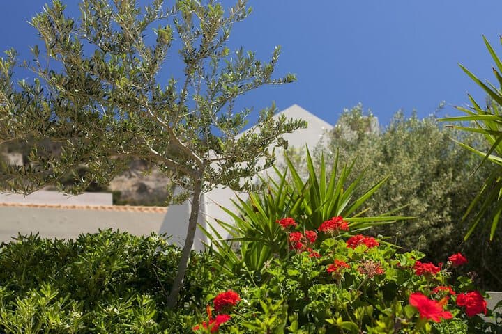 Istron Villas photo 3