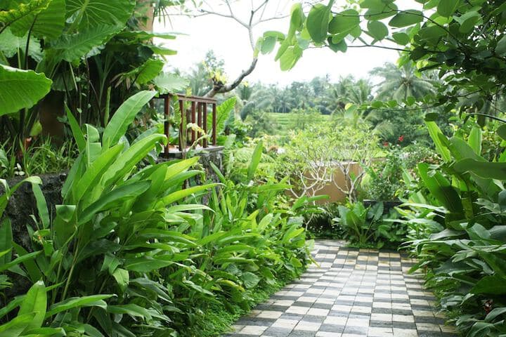 Ubud Green Resort Villas Powered by Archipelago photo 4