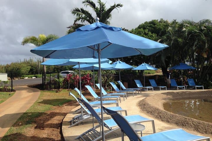 Castle Kiahuna Plantation & Beach Bungalows photo 4