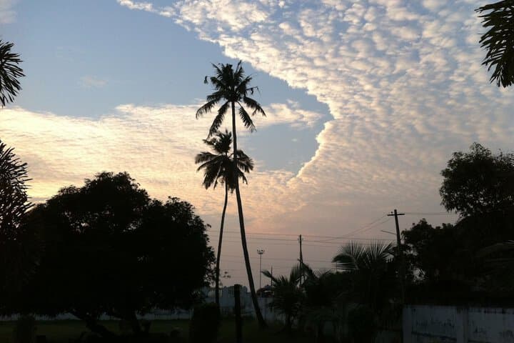 Baywatch Beach Resort photo 4