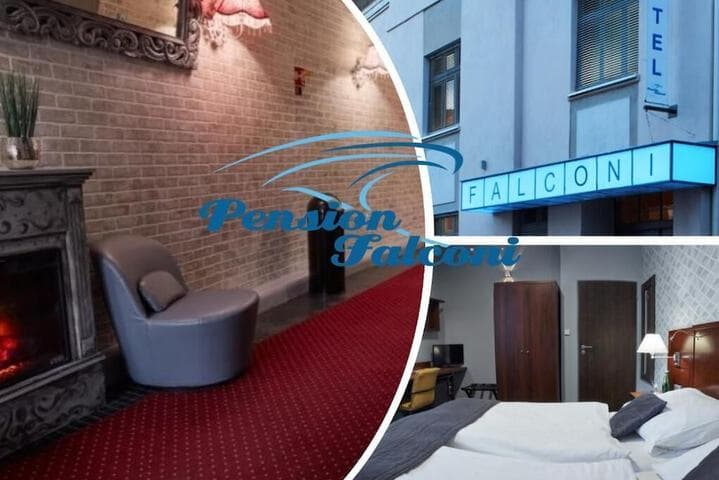 Pension Falconi photo 4