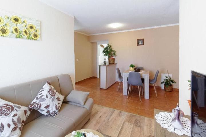 Apartments Viola photo 3