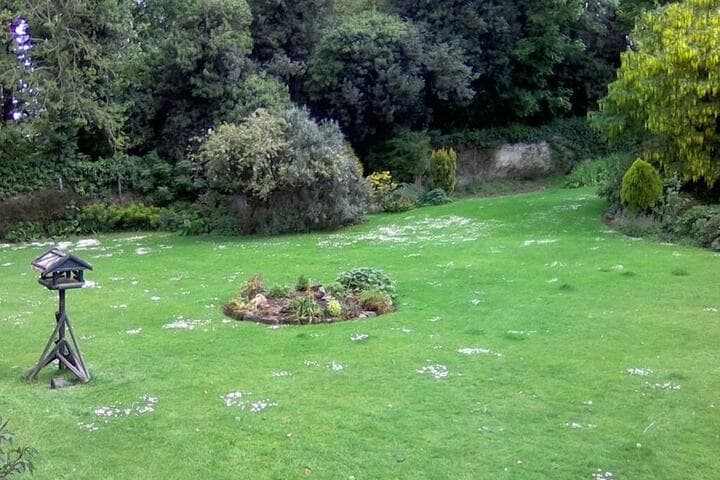 Newburgh House Bed & Breakfast photo 2