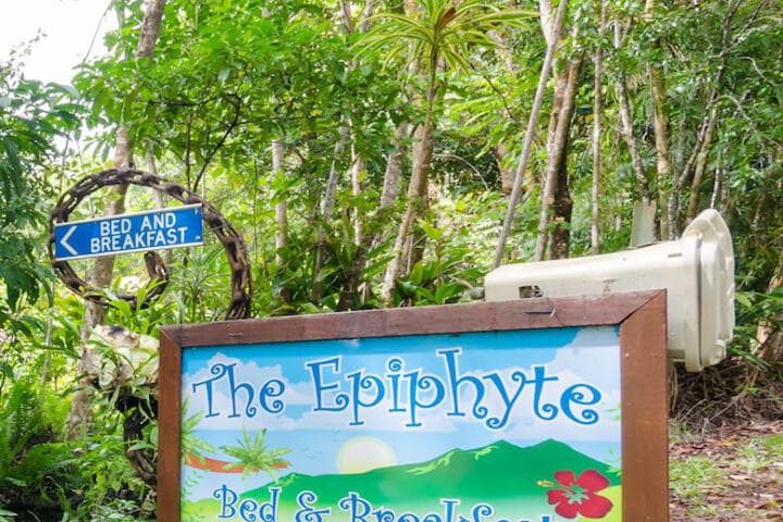 The Epiphyte Bed & Breakfast photo 3