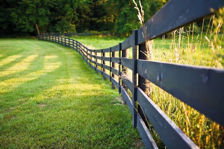 Pillow&Paddock B&B photo 4