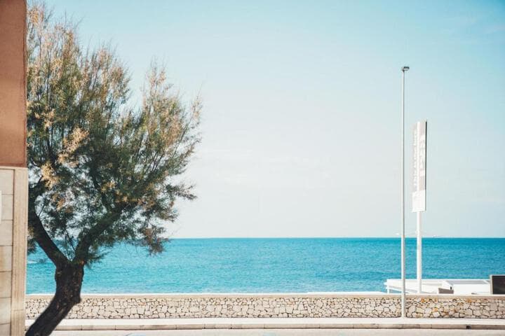 Terradamare photo 2